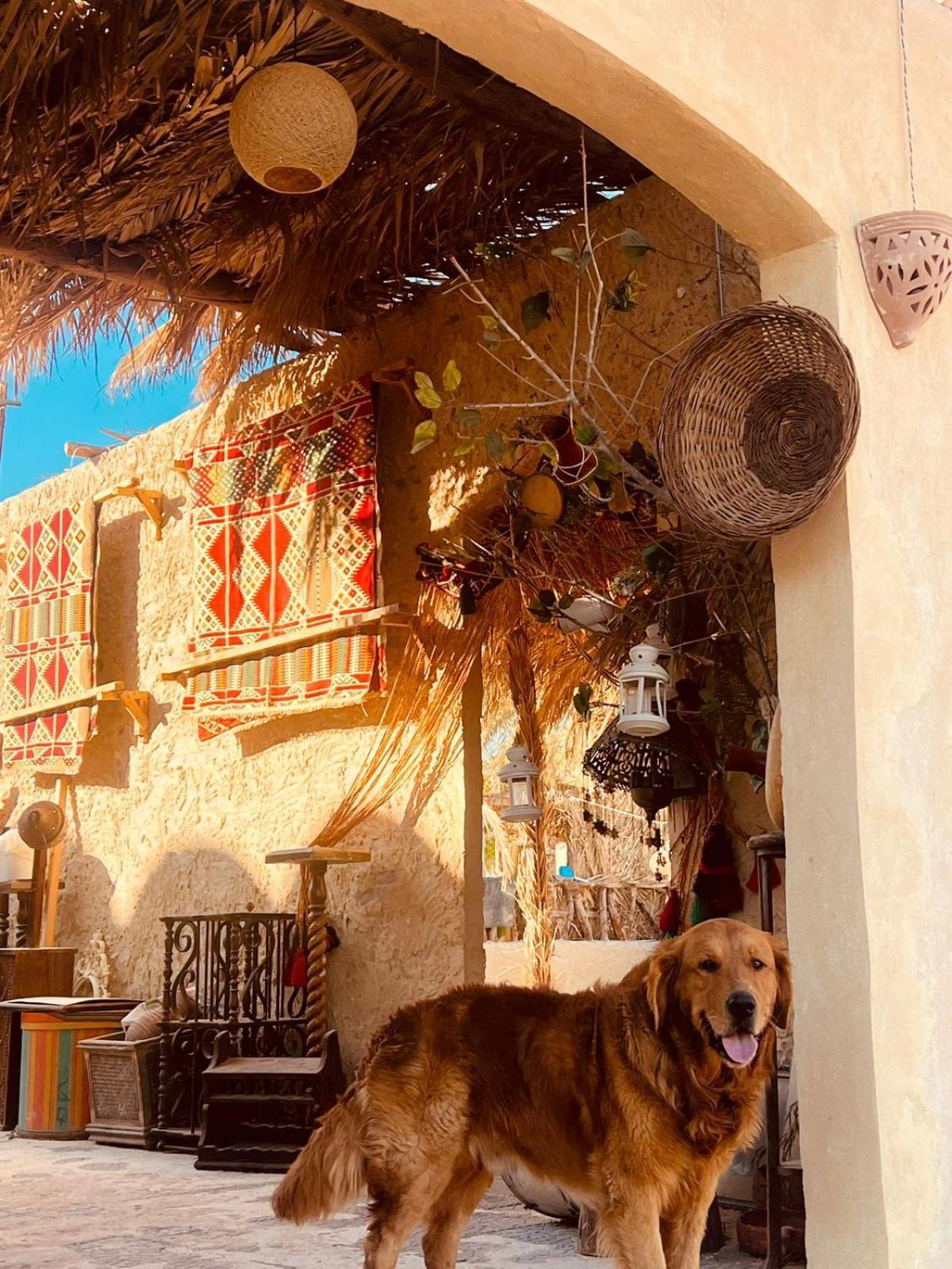 Aghurmi Siwa Ecolodge & Salt Cave Siwa Oasis المظهر الخارجي الصورة