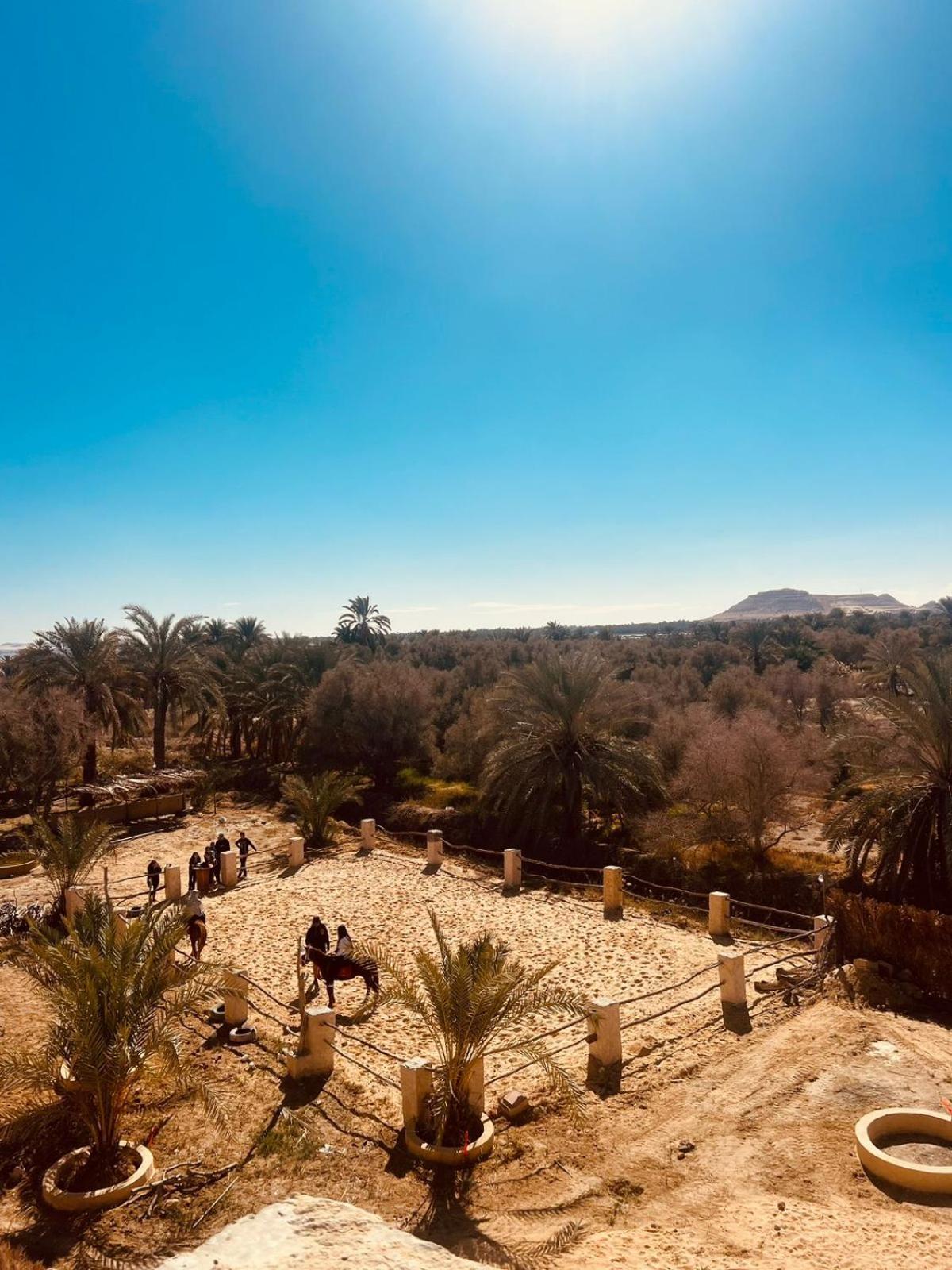 Aghurmi Siwa Ecolodge & Salt Cave Siwa Oasis المظهر الخارجي الصورة