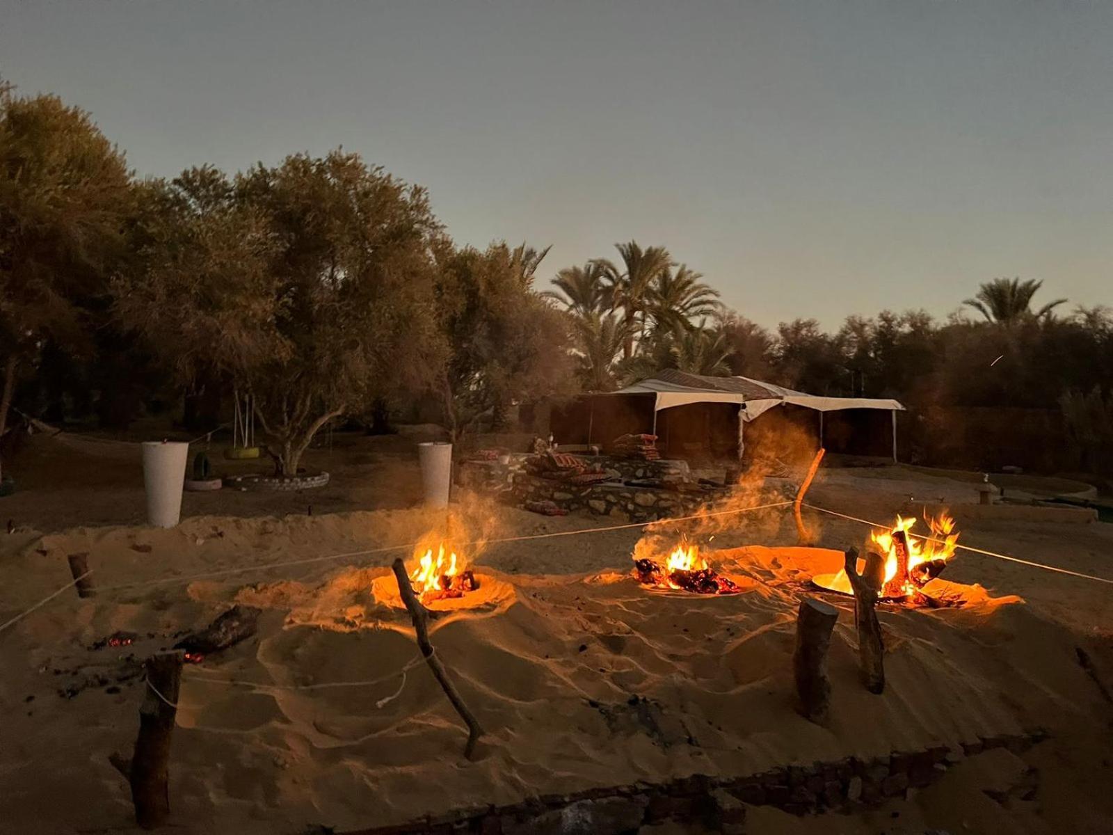 Aghurmi Siwa Ecolodge & Salt Cave Siwa Oasis المظهر الخارجي الصورة