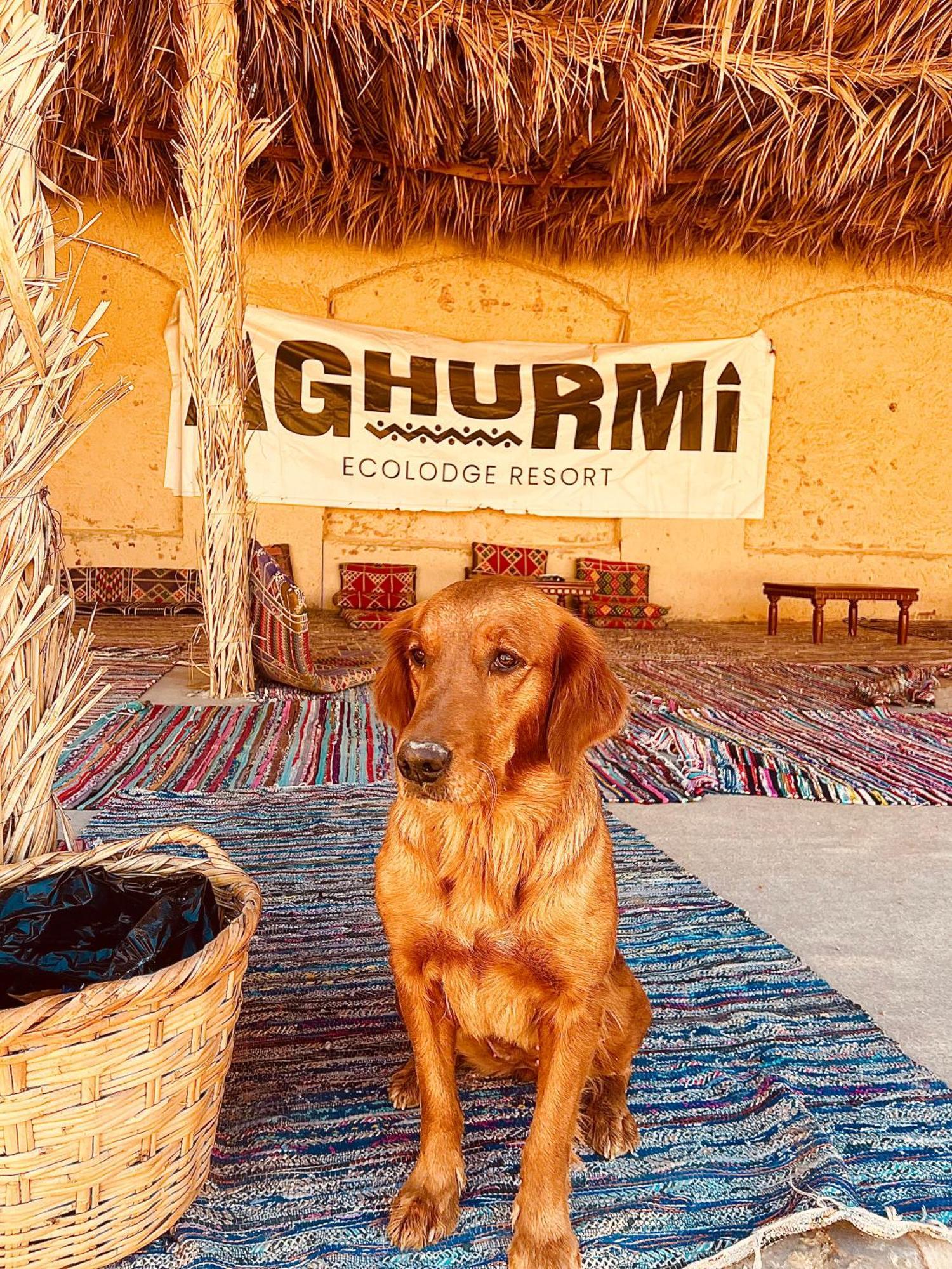 Aghurmi Siwa Ecolodge & Salt Cave Siwa Oasis المظهر الخارجي الصورة